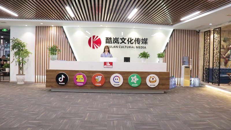 品牌设计公司定制方案：揭秘企业品牌形象塑造的秘诀